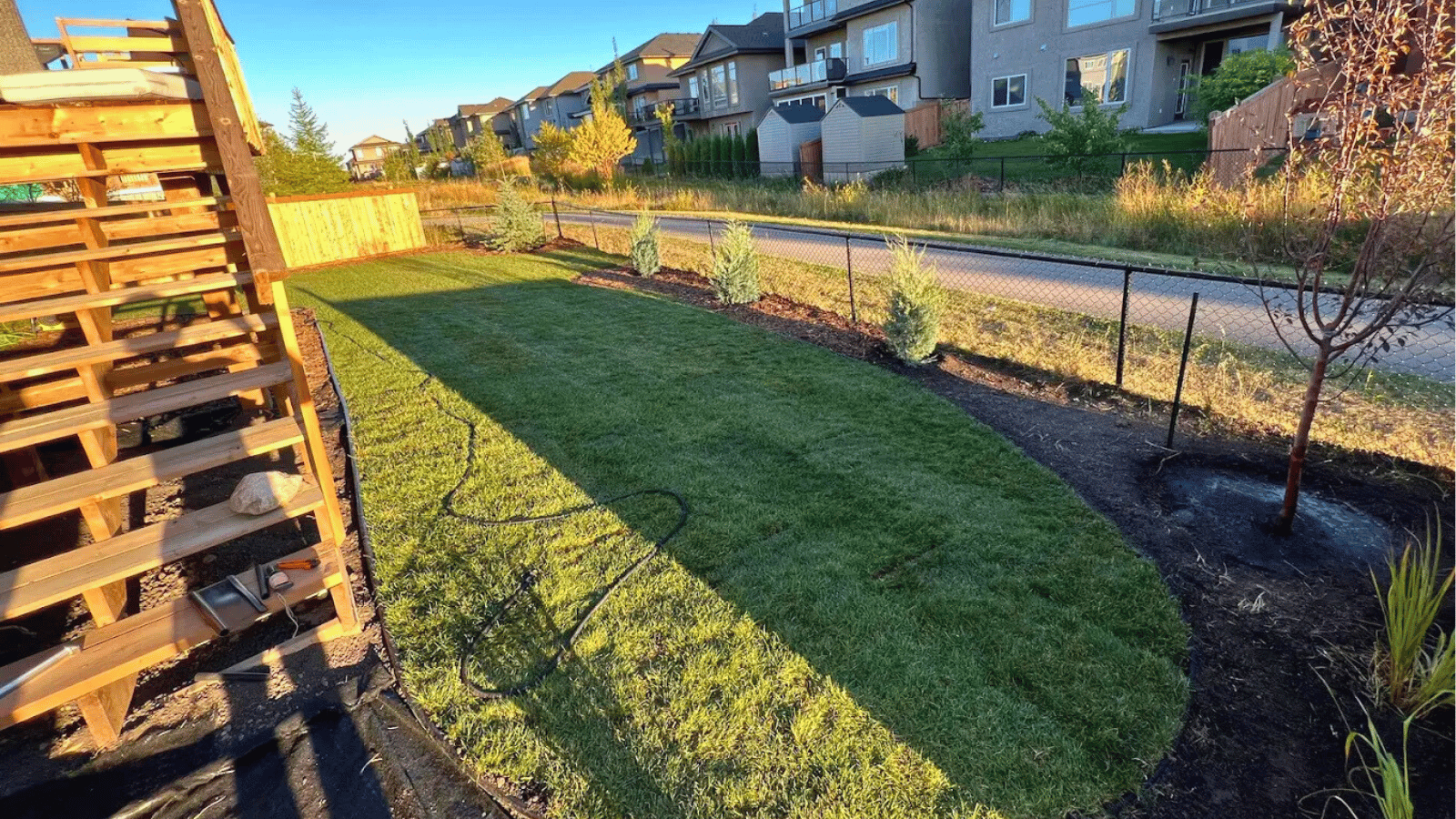 Vibrant garden installation in progress with freshly planted beds