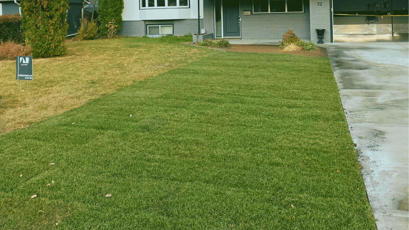 All The Moore Landscaping team caring for client lawn