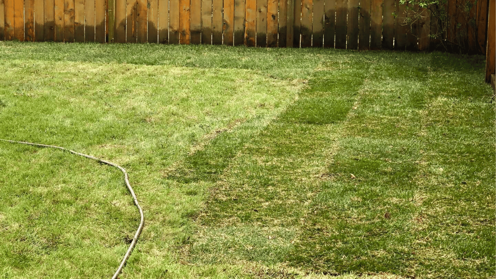 Past project done by All the Moore Landscaping