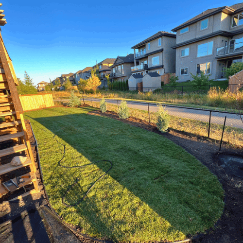 Softscapes & Planting