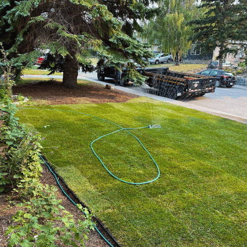 Thriving garden beds created by All The Moore Landscaping