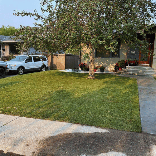 Pristine landscape maintained by All The Moore Landscaping